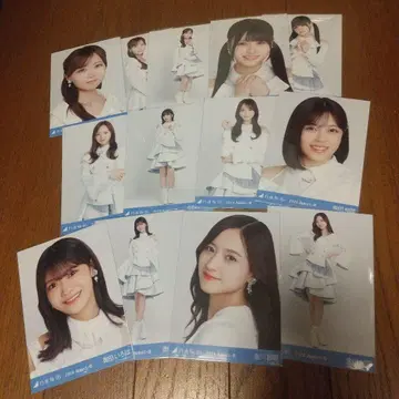 노기자카46 2024 August