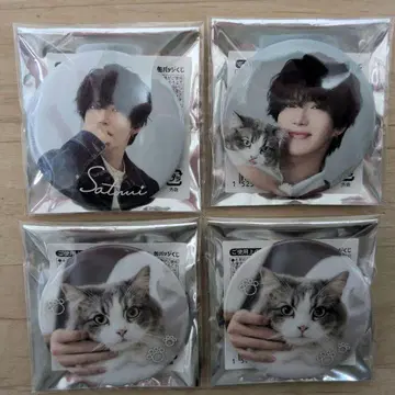 사토미 군 실사 캔뱃지