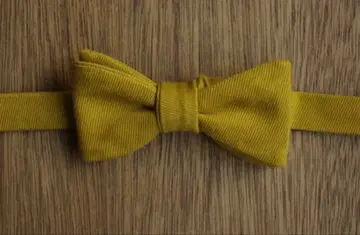 bowtie-mustard 나비 넥타이 머스타드 색