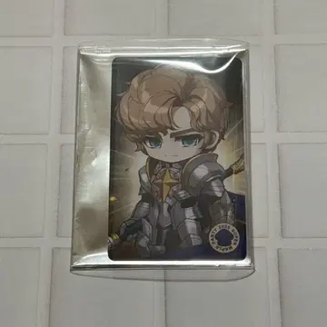 메이플스토리 포토 카드 팔라딘