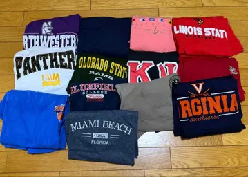 로고 T셔츠 세트 자수 칼리지 로고