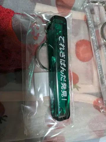 노기자카46 이케다 에레나 Wings 오리의 꿈 룸키링 미개봉