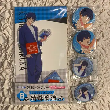 망각 배터리 청봉엽류화 모음 복권 랙