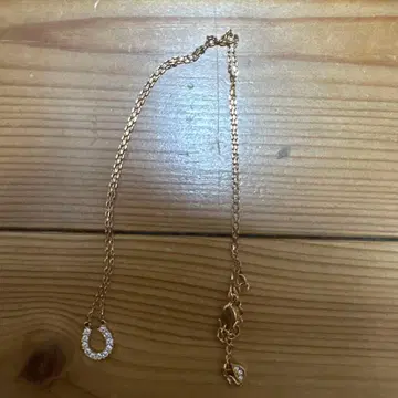 Swarovski 목걸이 말굽