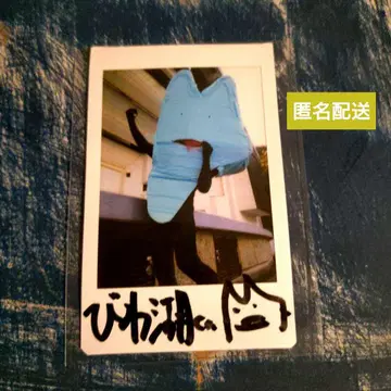 비와코 군 폴라로이드