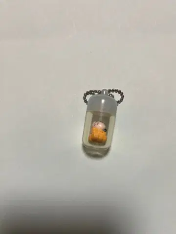 긴샤리 씨 산엑스