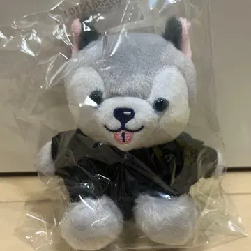 노킹 온 락 도어 토리이누