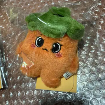 NMIXX 지우 JJYUROT 봉제 인형 NSWER VACATION