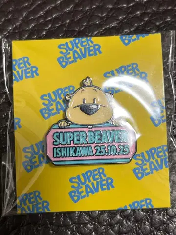 SUPER BEAVER 낙타 투개더 금 카나자와 한정판 핀 배지 미개봉