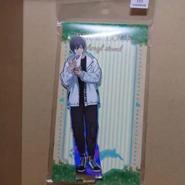 블루 록 아크릴 스탠드 아크스타 마즐 린 Rabbit