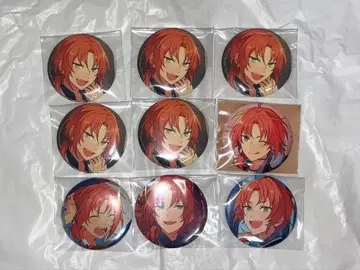 츠키나가 레오 캔뱃지 9개