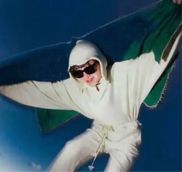 dinoworks egg hoodie