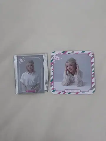 사쿠라자카 카페 후지요시 카린 마그넷 코스터 세트