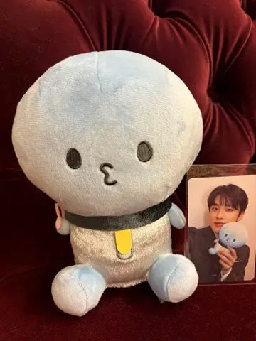 지오참 마이군 예약 판매