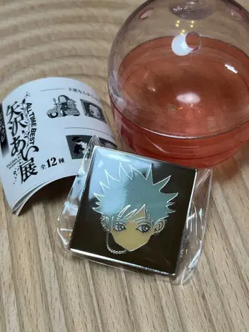 야자와 아이전 핀 배지 NANA 신