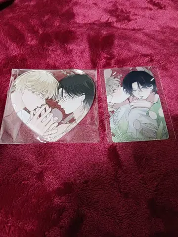 스에히로 마치 선생님 Cafe Pale Blue Snow 아코&카드