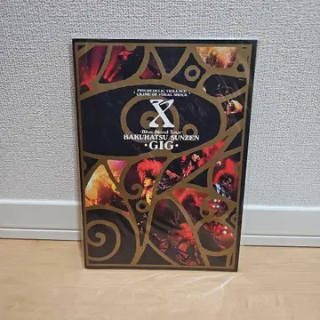 X JAPAN BLUE BLOOD 투어 팜플렛 새상품