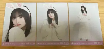 노기자카 46 엔도 사쿠라 토끼띠 2023 브로마이드