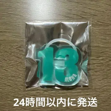 초특급 아로하 응원봉 액세서리 EVE