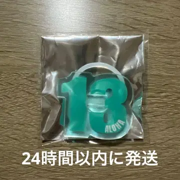 초특급 팬미 응원봉 액세서리 알로하