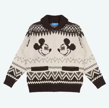 2025년 11월 10일 구매 미키마우스 집업 니트