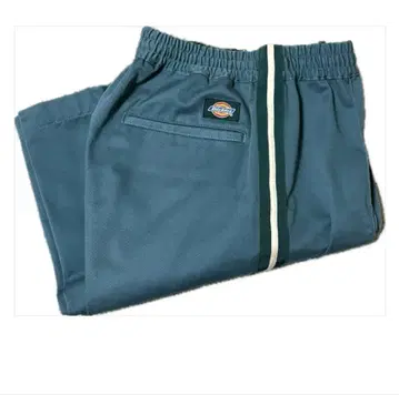 CITYSHOP 별주 dickies 팬츠