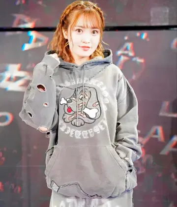 갈피츠기하보로보로 후드티 XL 대형견