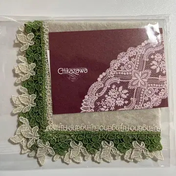 치카자와 레이스 후진가호 별주 한정판 그레이 [미개봉 새상품]