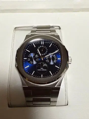 칼-라이몬 손목시계