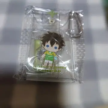 자이젠 히카루 누이펜 프렌즈