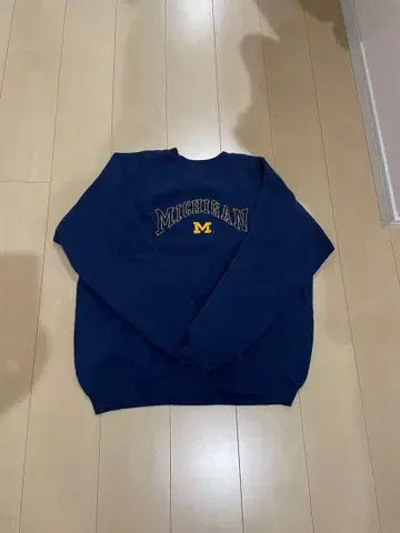 Hanes Activewear 미시간 트레이닝복 XL