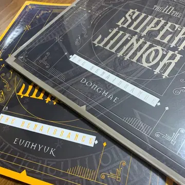 SUPER JUNIOR THE RENNAISSANCE 동해 은혁