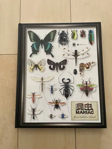 곤충 MANIAC 도록