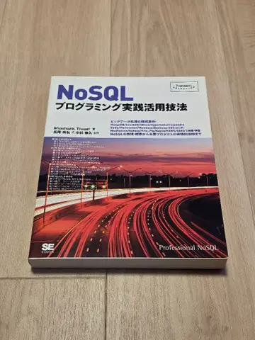 NoSQL 프로그래밍 실천 활용 기법