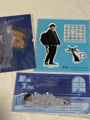 Snow Man 와타나베 쇼타 드라마 세트 새상품