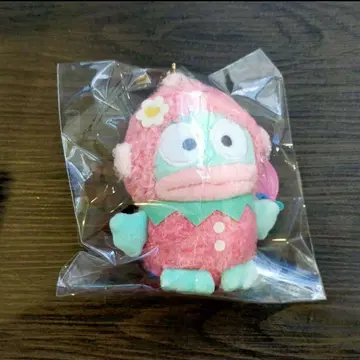 레어 산리오 Sanrio 따라하기 딸기 므뉴구루미 한교동 수주