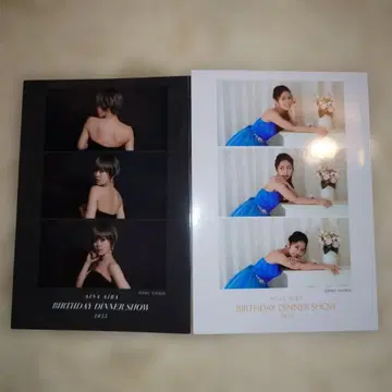 아이바 아이나 특전 포토그레이풍 브로마이드 전 2종