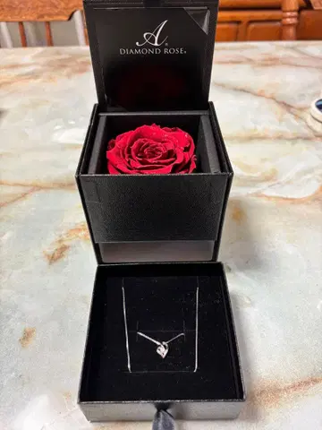 DIAMOND ROSE 하트형 목걸이
