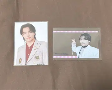 겐지부 벚꽃 마사야 카드 세트