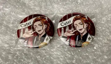 트위스테 꾸미기 캔뱃지 케이트