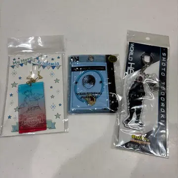 토도로키 쇼토 세트