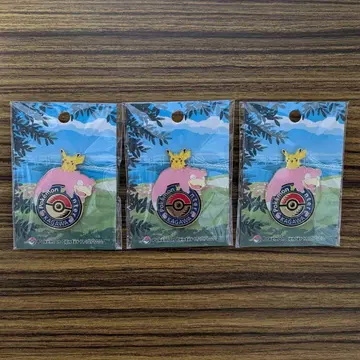 포켓몬 센터 카가와 한정 야돈 피카츄 로고 핀즈 3개