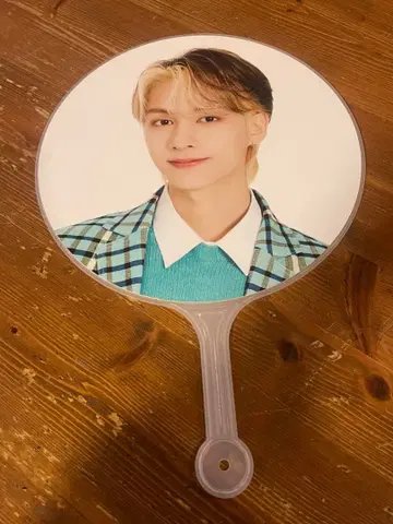 SEVENTEEN TOUR FOLLOW 세부치 부채 준 서울콘