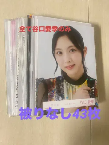 다니구치 아이리 브로마이드 43장 모음