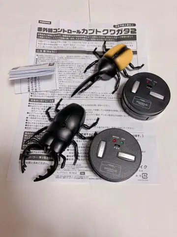 적외선 컨트롤 가부토 사슴벌레 2체 세트