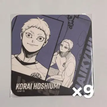 하이큐 호시우미 코라이 V리그 코스터