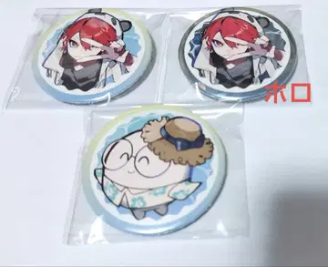 Crazy Raccoon CR 페스티벌 2025 rion  캔 배치