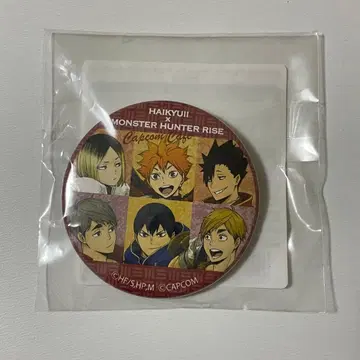 하이큐 몬스터 헌터 캔뱃지