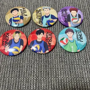 하이큐 캐릭터 배지 컬렉션 라이벌 학교