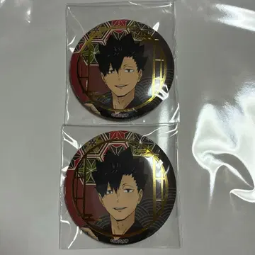 하이큐 금박 배지 컬렉션